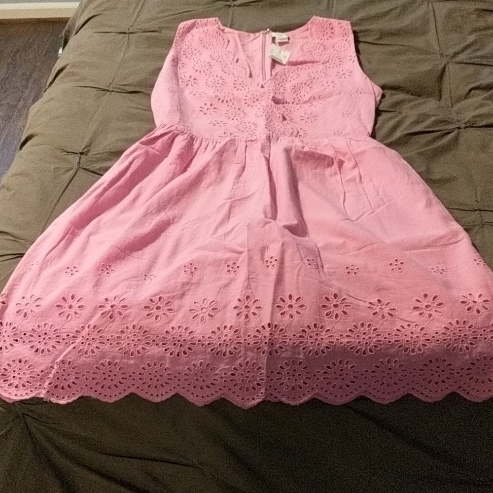 J. Crew Pink Eyelet Scalloped V-Neck Dress